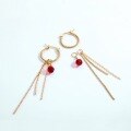 wholesale 925 Silver Jewelry Wholesale Processing Inlaid Original Niche Design Earrings for Women Crystal Tassel Earrings Source Factory-0-1