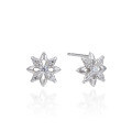 wholesale S925 Sterling Silver Small Fresh Korean Style Zircon Snowflake Stud Earrings for Women Wholesale from Factory-0-4