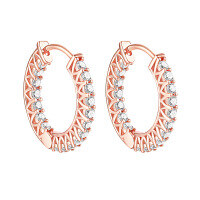 wholesale Rose Gold Plated & S925 Sterling Silver Zircon Stud Earrings with Push Back Clasps, Cross-Border Fashion-Rose gold 925 silver