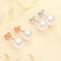 wholesale S925 Sterling Silver Cross-border High-Quality Freshwater Pearl Earrings for Women, Elegant and Sophisticated Pearl Stud Earrings Wholesale-0-2