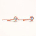 wholesale S925 Silver Fashion Earrings with Zirconia Ear Pins for Women, Factory Direct-0-2