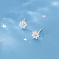 wholesale S925 Sterling Silver Earrings Women Korean Style Fashion Fresh and Sweet Small White Flower Ear Accessories G5295-0-0