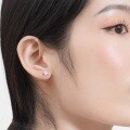 wholesale 925 Sterling Silver Zircon Small Stud Earrings Women Korean New Style Internet Celebrity Temperament Personality Earrings Wholesale Manufacturer-0-1
