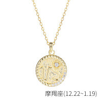 wholesale S925 Sterling Silver Euro American Coin Round Pendant Necklace For Women Ins 12 Zodiac Constellation Collarbone Chain-YA0084_Capricorn 925 silver