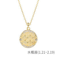 wholesale S925 Sterling Silver Euro American Coin Round Pendant Necklace For Women Ins 12 Zodiac Constellation Collarbone Chain-YA0084_Aquarius 925 Silver