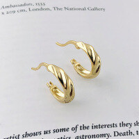 wholesale 925 Sterling Silver Geometric Line Irregular Small Fashion Twist Earrings In European And American Minimalist Style-E2153_Gold Earrings 925 Silver