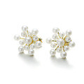 wholesale 14K Gold Exaggerated Floral Earrings with Natural Freshwater Pearls, Versatile Firework Design New Earring Style-0-1