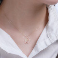 wholesale 9K Gold Yili Jewelry Factory Direct Minimalist Zircon Small House Necklace Collarbone Chain New Women's-0-2