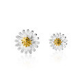 wholesale Sterling Silver Korean Style Small Fresh Daisy Ear Studs Minimalist Elegant Student Petite Floral Earrings G4552-0-4