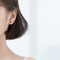 wholesale 925 Sterling Silver Earrings Women Korean Style Small Fresh Plant Vegetable Carrot Ear Accessories G2756-0-1