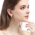 wholesale S925 silver rose gold plated diamond earrings elegant temperament super fairy fashion little chic style women's earrings one week earrings-0-1