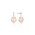 wholesale S925 silver rose gold plated diamond earrings elegant temperament super fairy fashion little chic style women's earrings one week earrings-0-4