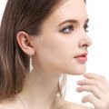 wholesale 925 Sterling Silver Zircon Long Drop Earrings for Women, Small Minimalist Design, High-End Elegant Ear Hooks, New Earrings-0-2