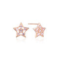 wholesale S925 Sterling Silver Star Stud Earrings with Diamond for Women, Light Luxury Student Fashion Jewelry for Dropshipping and Wholesale-0-4