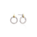 wholesale S925 Silver Korean and Japanese Style Earrings, Ins Fashion New Women's Studs, Round Diamond-Embedded Silver Jewelry, One-Piece Dropshipping-0-4