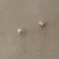 wholesale 14K solid gold zirconia mini star stud earrings, Korean and Japanese style, elegant and cute for women-0-1