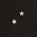 wholesale 9K Gold Shining Little Star Classic Five-Claw Setting Zircon Stud Earrings for Students, Unisex-0-0
