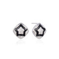 wholesale S925 Sterling Silver Cross-Border Hot-Selling Zircon Star-Shaped 3D Earrings for Women,-0-4