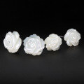 wholesale S925 Silver Ear Studs Women Korean Style White Mother-of-Pearl Shell Rose Flower Earrings Elegant Ear Jewelry E0121-0-0