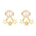 wholesale 925 Sterling Silver Korean Style Sweet Star Earrings for Women, Fashion Five-Point Star Pearl Ear Studs, Japanese Minimalist Light Luxury Silver Jewelry-0-4