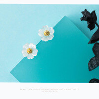 wholesale Metal material: s925 sterling silver Ear studs for women, Korean style fashion sweet shell flower with golden stamen, five-petal flower accessory E8850-S925 silver pair 925 silver