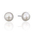 wholesale S925 Sterling Silver New Women's Stud Earrings Simple Pearl Inlaid Earrings Fashion Elegant Cross-Border Jewelry Factory Wholesale-0-4