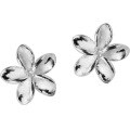 wholesale S925 silver floral earrings for women, Korean-style cute and sweet five-petal flower earrings, delicate ear accessories E0719-0-4