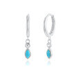 wholesale Sterling Silver S925 Teardrop Earrings for Women with Zirconia Ear Hoops Ear Clasps Cross-Border Light Luxury High-End Long Tassel Accessories-0-14