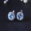 wholesale S925 Silver Natural Sky Blue Topaz Stud Earrings Light Luxury Fashion High-End Gemstone Ear Jewelry-0-0