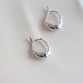 wholesale Sterling Silver Horse Hoop Earrings for Women Newest Trendy High-end Minimalist Unique Stud Earrings-0-3
