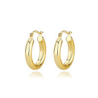 wholesale 925 Sterling Silver Cross-border Wholesale Niche Luxury Earrings,ins-E956E-Gold 925 Silver