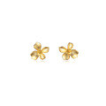 wholesale 925 Sterling Silver Vintage Light Luxury Matte Gold Four-Petal Flower Earrings Women Korean Style Gardenia Sweet Ear Accessories G9433-0-4