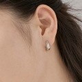 wholesale S925 Sterling Silver INS Style New Horseshoe-shaped Earrings for Women, Minimalist and Fashionable Design with a Sense of High-end Sophistication-0-2