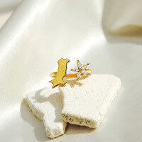 wholesale S925 sterling silver minimalist and versatile Pakistan map statement ring for women, lightweight and luxurious-BZ0664-Gold>Adjustable opening