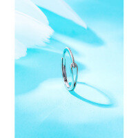 wholesale 925 Sterling Silver Rupert's Tear Ring Women's Minimalist Band Small Batch Design Self-Discipline High-End Luxury Adjustable Finger Ring-Women's ring 925 silver Adjustable opening