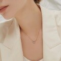 wholesale 925 Sterling Silver Maker Planet Necklace for Women, Light Luxury Minimalist Design, Niche Ins Temperament Collarbone Chain-0-3