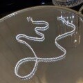 wholesale Pure silver full-body shimmering necklace for women, Korean-style lightweight luxury high-end minimalist chain, collarbone chain-0-3