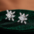 S925 Silver Moissanite Stud Earrings, Star Queen Source Factory Wholesale-0-0