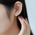 wholesale S925 Silver Japanese Light Luxury Pink Shell Ginkgo Retro Geometric Fan Earrings for Women Wholesale Ear Accessories-0-1