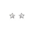wholesale S925 Sterling Silver Super Sparkling Star Zircon Ear Studs for Women, Fashionable and Elegant, Small and Exquisite Earrings-0-4