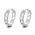 wholesale S925 Silver Fashion Korean Style Ins Wind Twist Design Commuter Versatile Earring Ear Clip-0-4