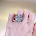 wholesale S925 Silver New High-End Simulated Diamond 12*14 High Carbon Diamond Ice Cut White G Color Ring for Women-0-3