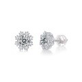 wholesale 925 Silver Ear Stud Ice Snow Secret Realm Crystal Earrings CZ Ear Jewelry Source Live Broadcast Moissanite In Stock Dropshipping-0-4