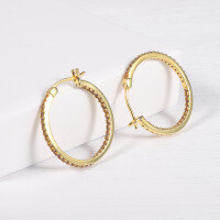 wholesale 925 Sterling Silver Fashionable and Unique Zirconia and Nano Stone Round Earrings, European and American Style Internet Celebrity Hoop Earrings, Available for Drop Shipping-Yellow Nano Stone Earrings>925 Silver