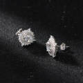wholesale 925 Silver New Style Super Sparkling 8A Premium Zircon Stud Earrings for Women, High-End Earrings, Manufacturer Wholesale-0-3