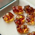 wholesale 18k gold with natural flower amber bear pendant, size approximately 19*25mm, amber bear pendant necklace-0-0