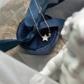 wholesale S925 Sterling Silver Star Shell Necklace for Women, Minimalist and Unique Small Design Sense Collarbone Chain, Versatile Accessory-0-0