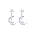 wholesale S925 Sterling Silver Fashion White Shell Zircon Moon Star Ear Studs Women High-End Sense Niche Design Versatile Earrings Women-0-4