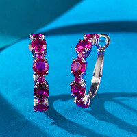 wholesale S925 Sterling Silver Full Diamond Circle Earrings for Women, Luxuriously Embedded Fashion Ins Style Live Broadcast Drop Shipping-E498 Blue Diamond 925 Silver