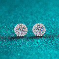 S925 Sterling Silver Moissanite Earrings, Women's Light Luxury European and American Style Simple Daily Wear-0-4